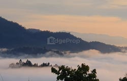 Jalan Kampung, Bentong, Pahang 28750