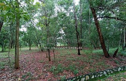 Jalan Putra Harmoni, Subang Jaya, Selangor 47100