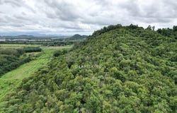 Pokok Sena, Kedah 6400