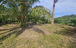 Parit, Perak 32800