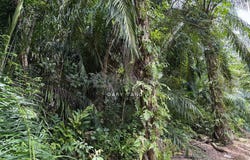 Sungai Siput Perlop, Kuala Kangsar, Perak 31100