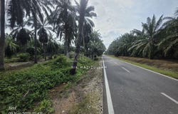 Kuala Selangor, Selangor 45600