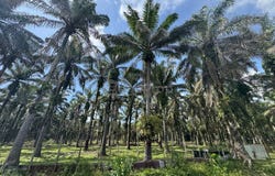 Batang Padang, Perak 35500