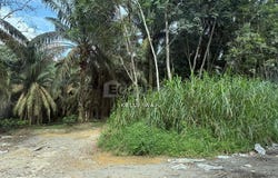 Kulai, Johor 81000