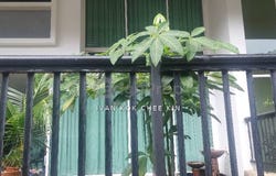 Jalan PJU 8/1, Bandar Damansara Perdana, 47820, Selangor, Damansara Perdana, Selangor 47820