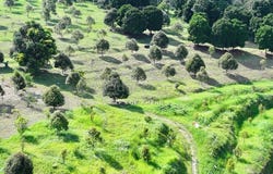 Kinta, Perak 31550