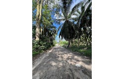 kanthan chemor, Kinta, Perak 31200