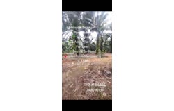 Telok Panglima Garang, Selangor 42500