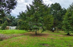 Pontian, Johor 81500