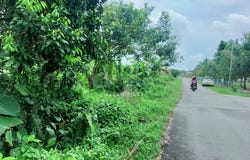 Taiping, Perak