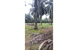 Jenjarom, Selangor 42600