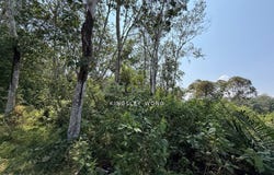 Kuala Kangsar, Perak 31100