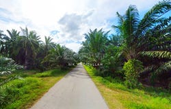 Sabak Bernam, Selangor 45300