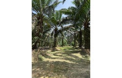 Simpang Renggam, Johor 86200