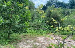 Selangor, Sepang, Selangor