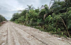 JALAN SIJANGKANG UTAMA, Telok Panglima Garang, Selangor 42500