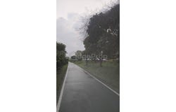 Pekan Nanas (Pekan Nenas), Johor 81500