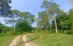Banting, Selangor 42700