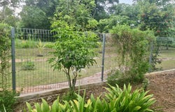 Jalan Perawan, Bukit Rambai, Melaka 75260