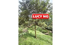 Taiping, Perak 34000