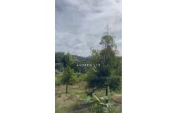 Hulu Perak, Perak