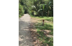 Bentong, Pahang 28750