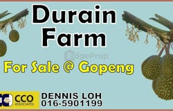 Gopeng, Perak 31600