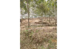 Bentong, Pahang 28700