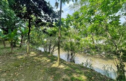 Jalan Raintree Utama, Taman Raintree, Batu Caves, Selangor 68100