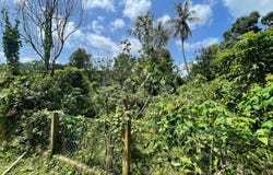 Dungun, Terengganu 23000