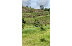 Lipis, Pahang 27200
