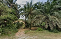 Off Jalan Besar, Kulai, Johor 81000