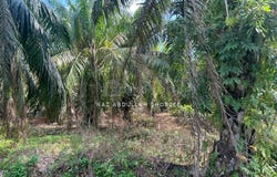 Banting, Selangor 42700
