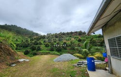 Bentong, Pahang 28700