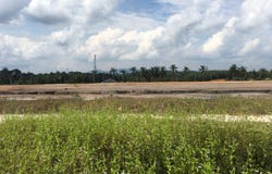 Banting, Selangor 40150