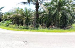 Jenjarom, Selangor 42600