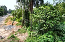 off Persiaran Apec, Dengkil, Selangor 43800