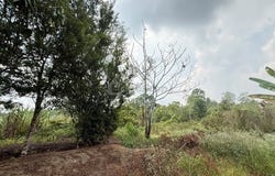 Gelang Patah, Johor