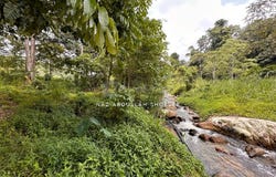 Bentong, Pahang 28750