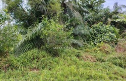 Banting, Selangor 42700