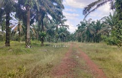 Kluang, Johor 86200