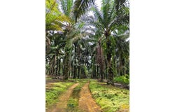 Kota Tinggi, Johor 81900
