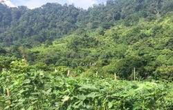 Bentong, Pahang 28750