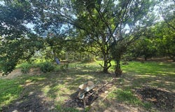 Jalan Besar Kampung Pasir, Batang Kali, Selangor 44300