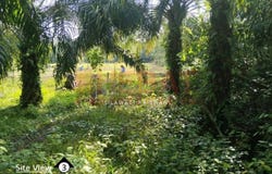 Simpang Pelangai Bentong, Bentong, Pahang 28740
