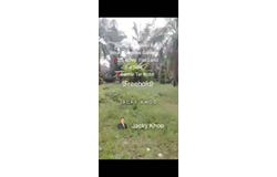Telok Panglima Garang, Selangor 42500