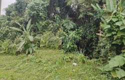 Karak, Pahang 28600