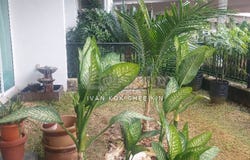Jalan PJU 8/1, Bandar Damansara Perdana, 47820, Selangor, Damansara Perdana, Selangor 47820