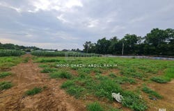 Sungai Petani, Kedah 8000