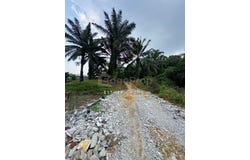 Pekan Nenas, Johor 81500
